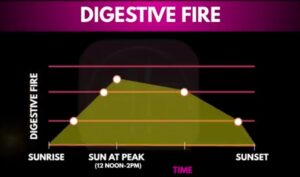 Ayurvedic diet plan